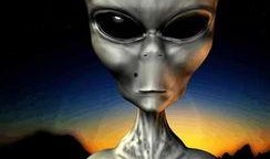 元首爆料外星人视频在线观看,元首独家爆料外星人视频震撼上线